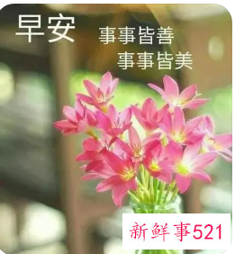 最深情的早安问候语