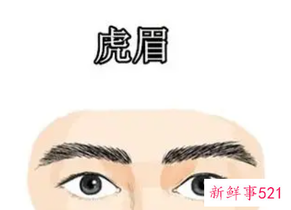 男人眉毛代表什么命运