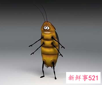 开灯能防止蟑螂爬床吗