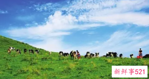 梦见牧场是什么意思