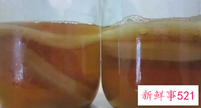 吃红茶菌的好处