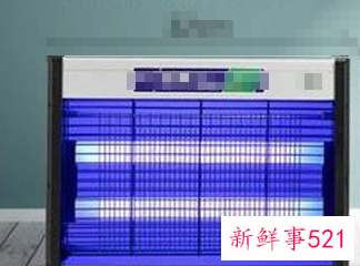 房间有虫子怎么驱虫啊