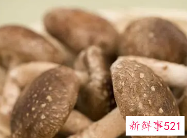 小孩吃香菇的营养价值及功效与作用