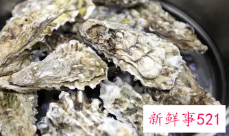 怀孕能吃生蚝不