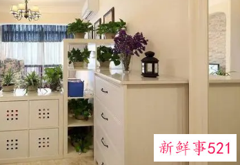 玄关鞋柜摆放植物风水禁忌