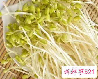 豆芽菜的功效与作用及食用方法