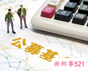 公募基金是什么意思