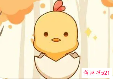 1981年属鸡的微信网名