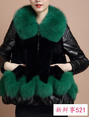 冬季羽绒外套的款式有哪些