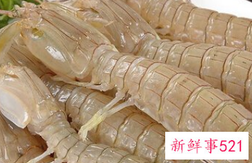 皮皮虾的功效与作用禁忌