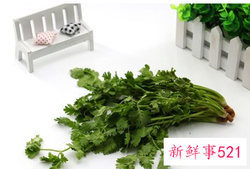 香菜的功效与营养价值