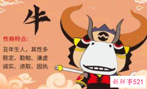 属牛和属兔相配吗