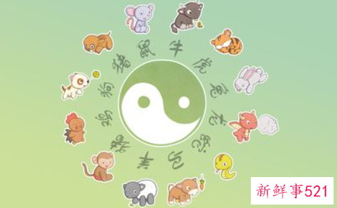 属牛和属兔相配吗