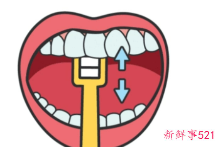 刷牙先刷左边还是右边