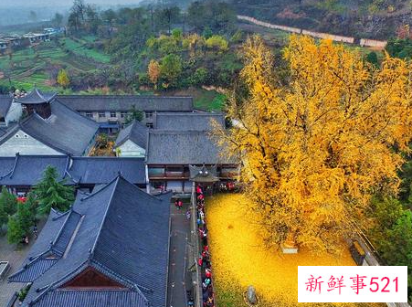 春节传统民俗活动有哪些