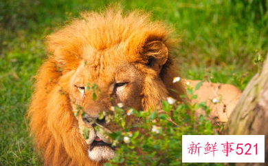 哪些星座男在婚后更可能恋家