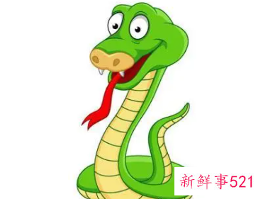 属蛇遇虎年运势