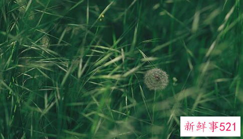 人的判断力取决于