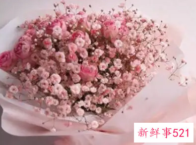 狮子男不想失去的表现