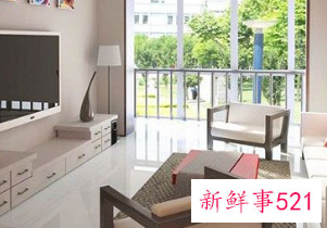 西南角摆什么植物合适