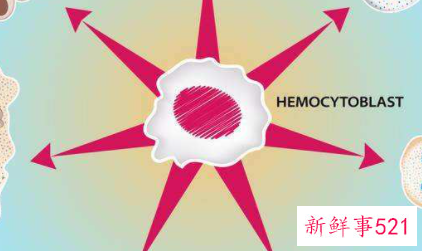 红细胞分布宽度标准差