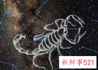 天蝎女跟射手男配不配