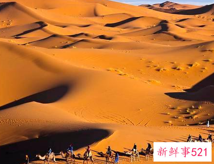 捡到一条项链好吗