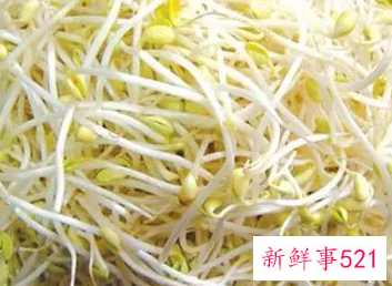 黄豆芽的营养价值
