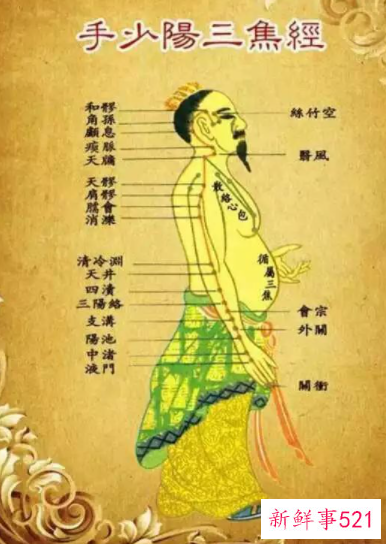 十二经络疏通的好处和作用