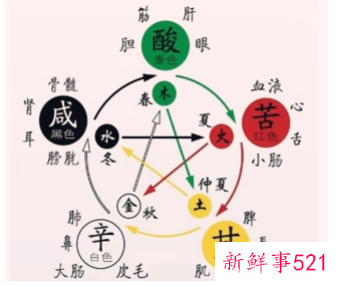 人与五行的关系