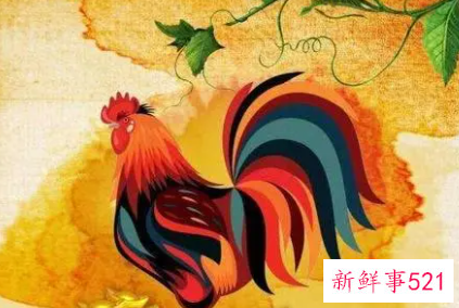 属鸡的人今年什么颜色最带财