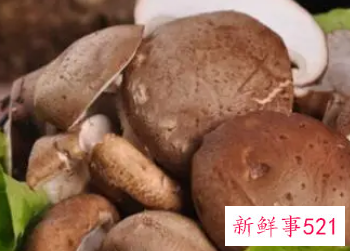 小孩吃香菇的营养价值及功效与作用