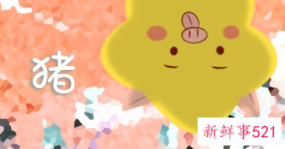 属猪女和属马男生配吗