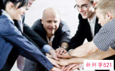 团队的凝聚力的总结