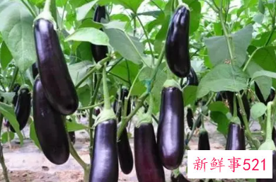 宝宝上火吃什么降火呢