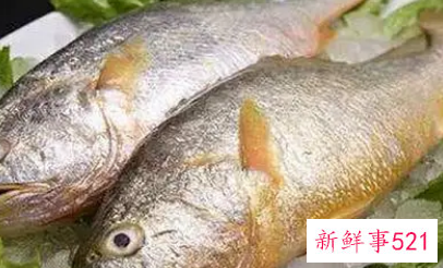 黄花鱼营养价值