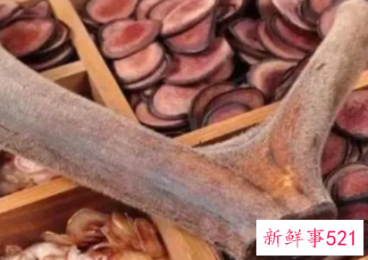 梦见鹿茸是什么意思
