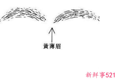 男人眉毛代表什么命运