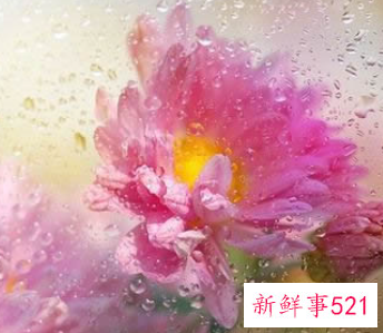 简单有深意的微信名字繁体字