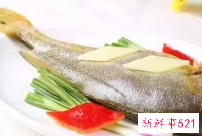 黄花鱼营养价值