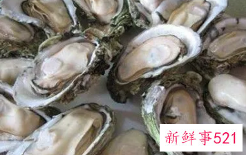 怀孕能吃生蚝不