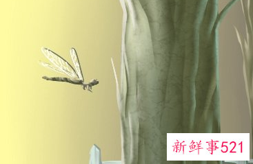 2022两个立春是什么意思