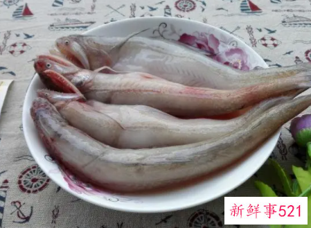 鱼怎么冷冻跟新鲜一样