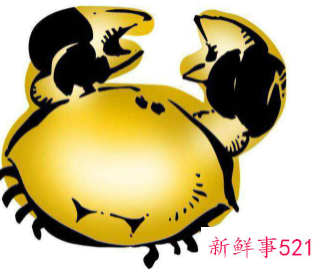 巨蟹男喜欢什么星座女