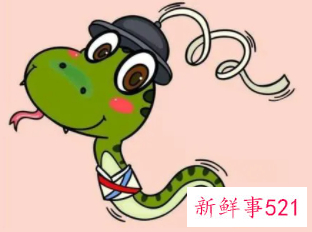 属蛇的真的让人恶心