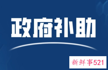 政府补助的条件