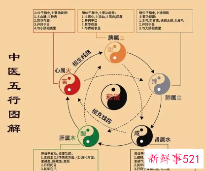 人与五行的关系