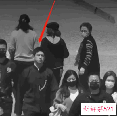 杨紫、李现同框亮相《新闻联播》