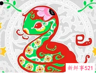 属蛇遇虎年运势