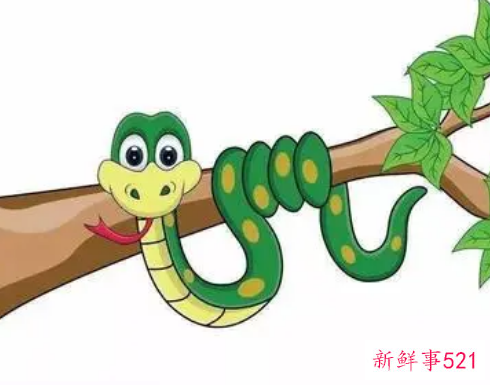 梦见被蟒蛇咬有什么征兆